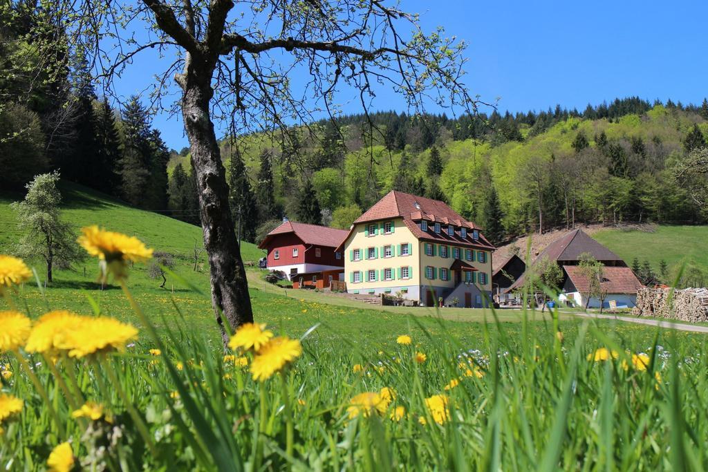 Апартаменти Offenburger Hof Schuttertal Екстер'єр фото