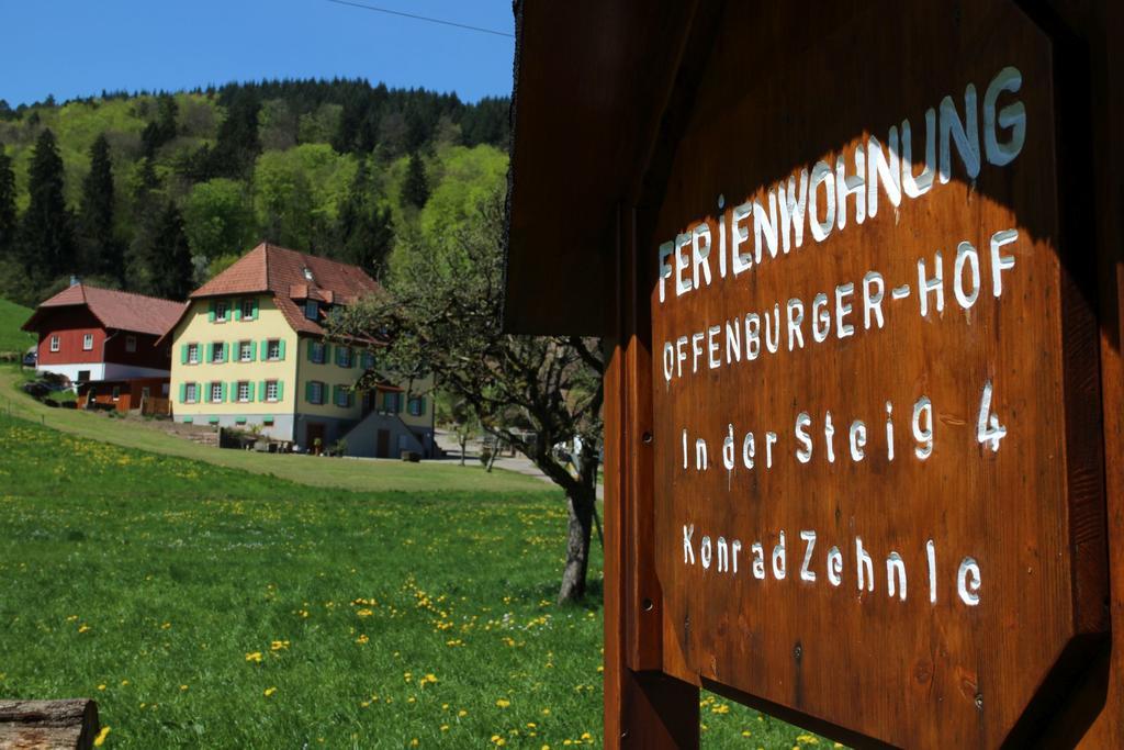 Апартаменти Offenburger Hof Schuttertal Екстер'єр фото